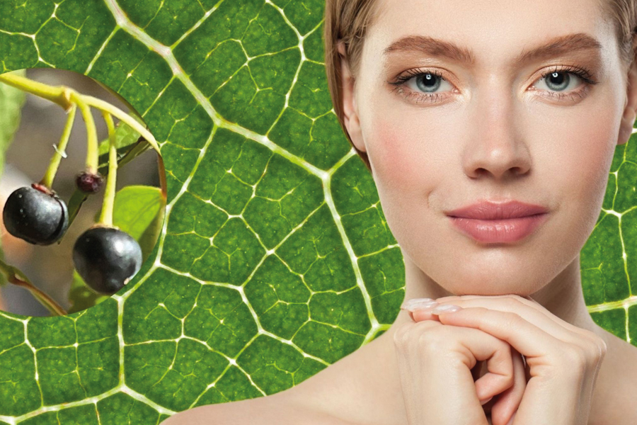 Harnessing stem cells for sustainable ingredients
