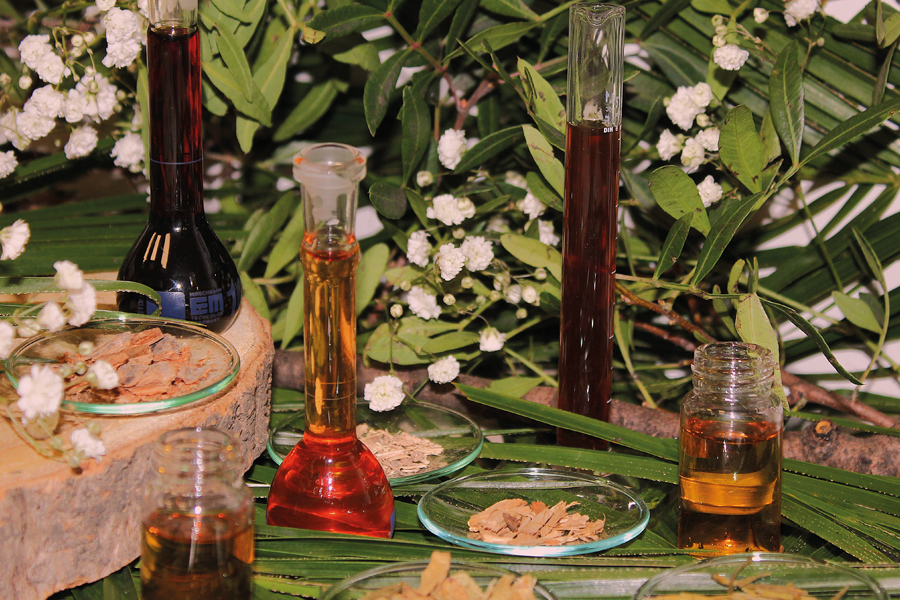 Evaluating the efficacy of upcycled ingredients