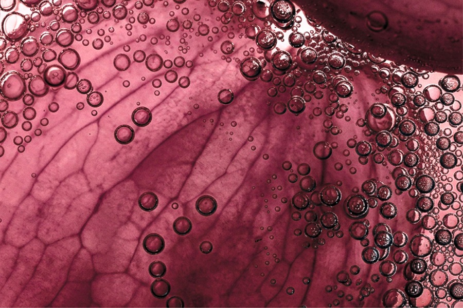 Symrise unites beauty, health with Care & Wellness division