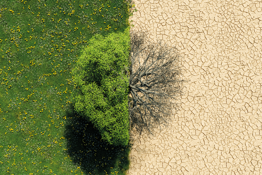 A call to climate-adaptive beauty