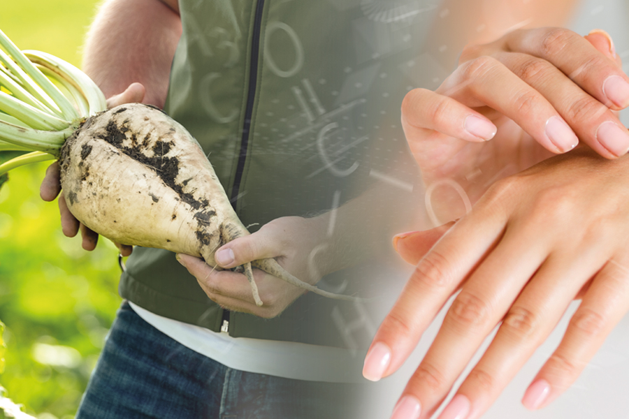 Natural betaine: revealing new benefits for modern beauty