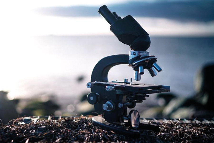Oceans as a source of life and innovation